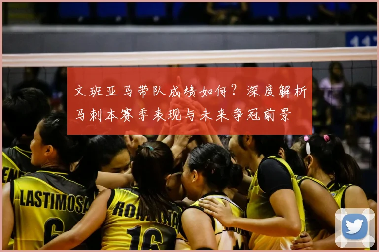 文班亚马带队成绩如何？深度解析马刺本赛季表现与未来争冠前景